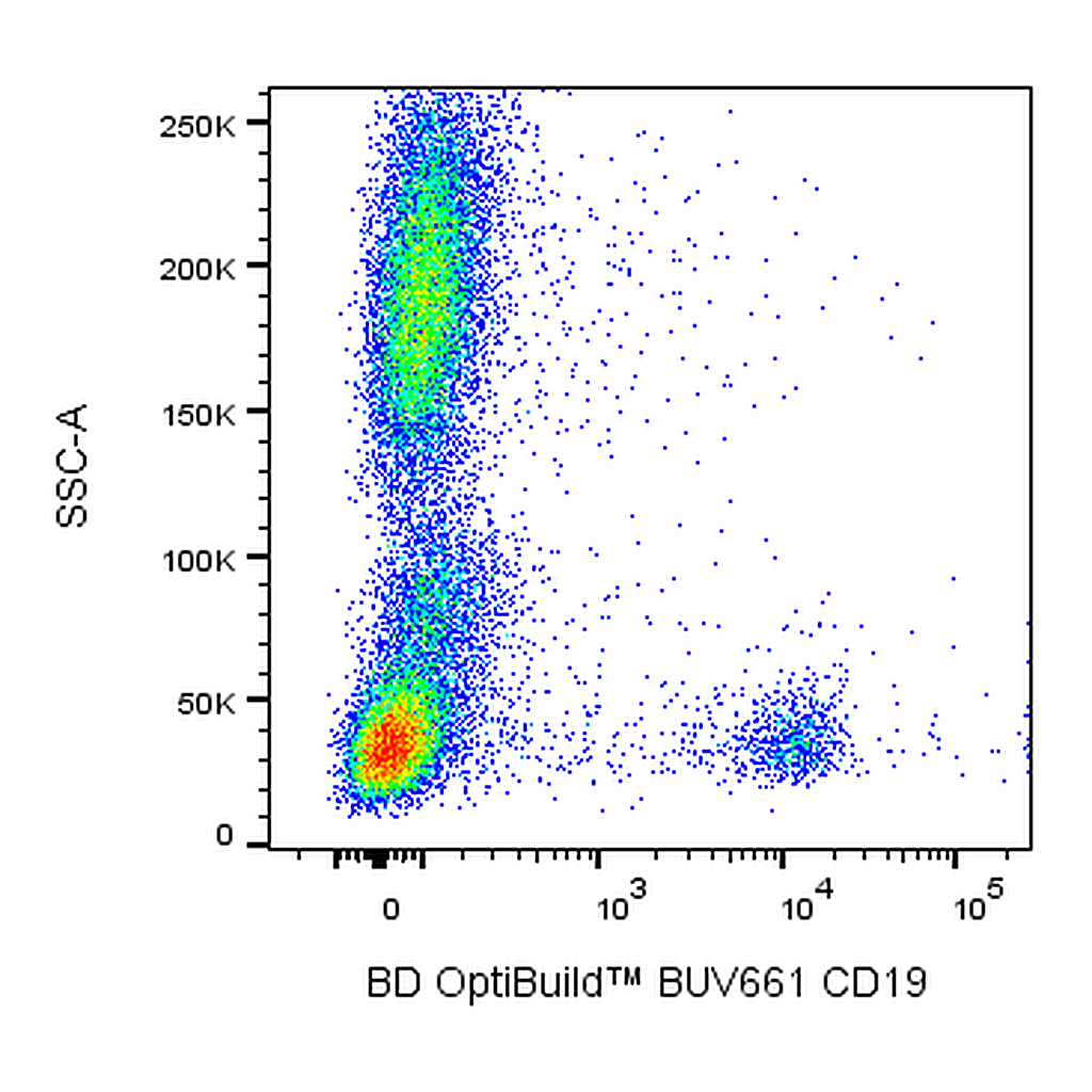 BD BUV661 Mouse Anti-Human CD19