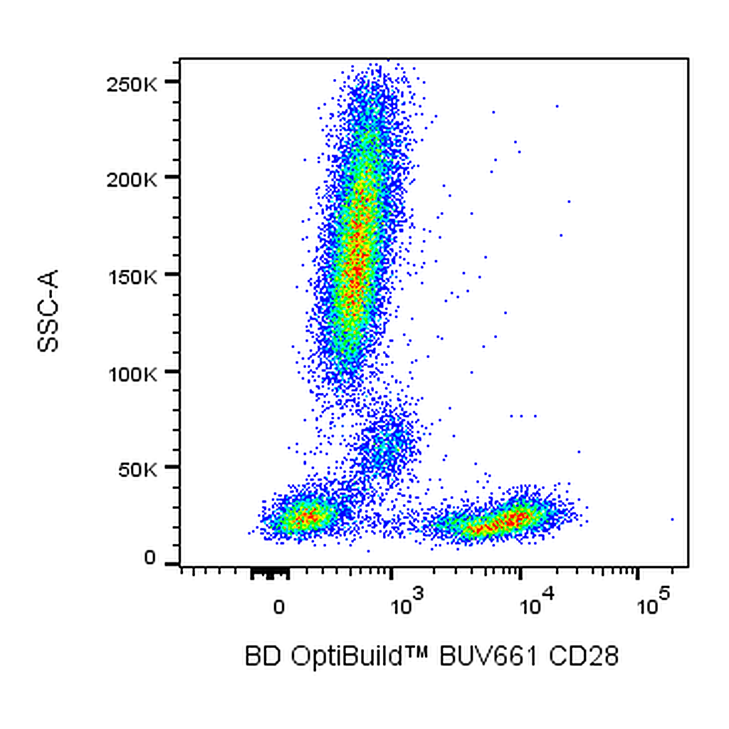 BD BUV661 Mouse Anti-Human CD28