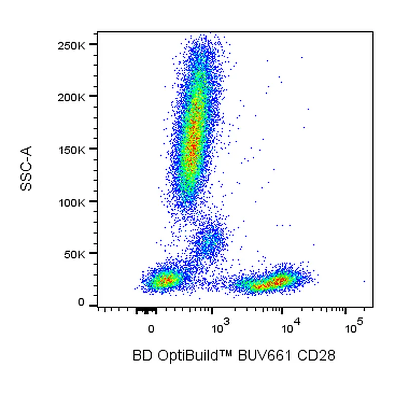 BD BUV661 Mouse Anti-Human CD28