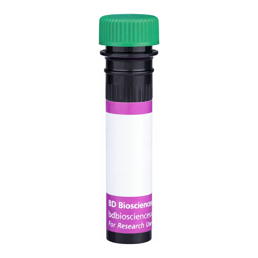 BD BV480 Mouse Anti-Human Delta-Like Protein 4