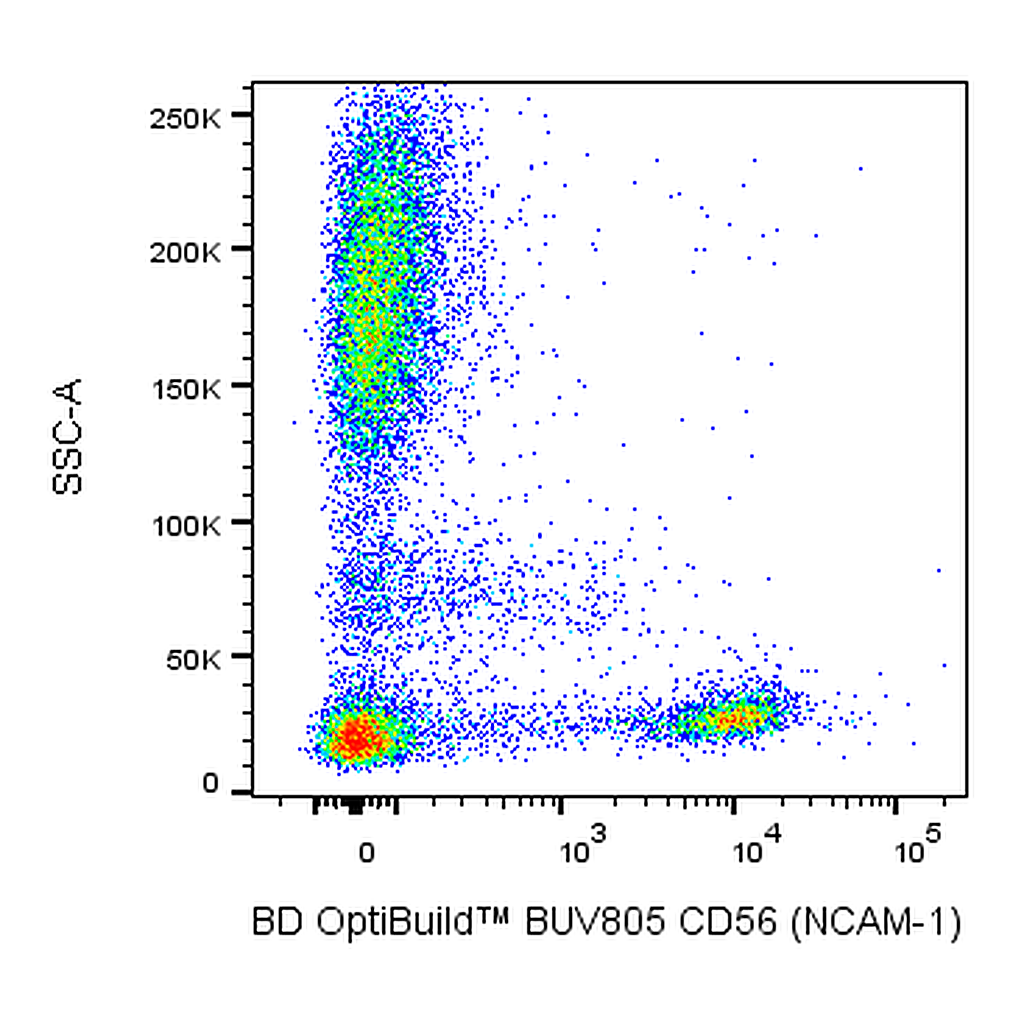 BD BUV805 Mouse Anti-Human CD56