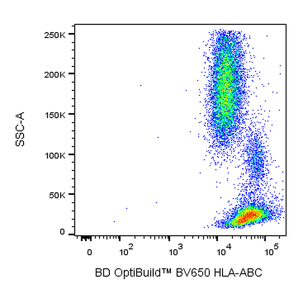 BD BV650 Mouse Anti-Human HLA-ABC