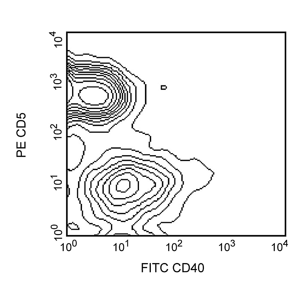 BD FITC Hamster Anti-Mouse CD40