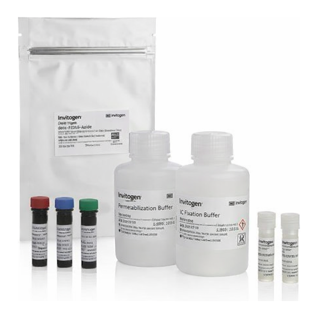 Thermo Fisher Scientific eBioscience Essential Human Th1/Th17 Phenotyping Panel with Staining &amp; Stimulation Reagents