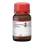 Merck alpha-Amylase from Bacillus sp.
