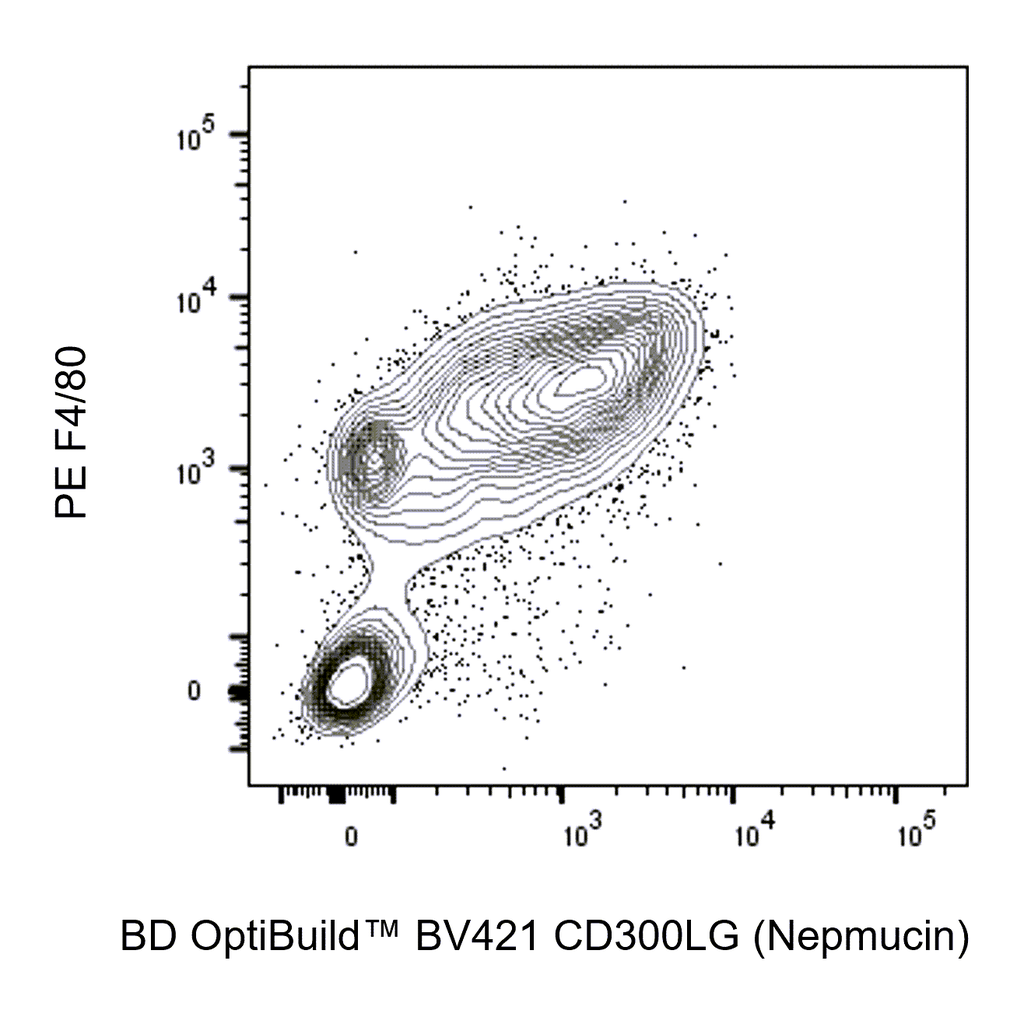 BD BV421 Rat Anti-Mouse CD300LG (Nepmucin)