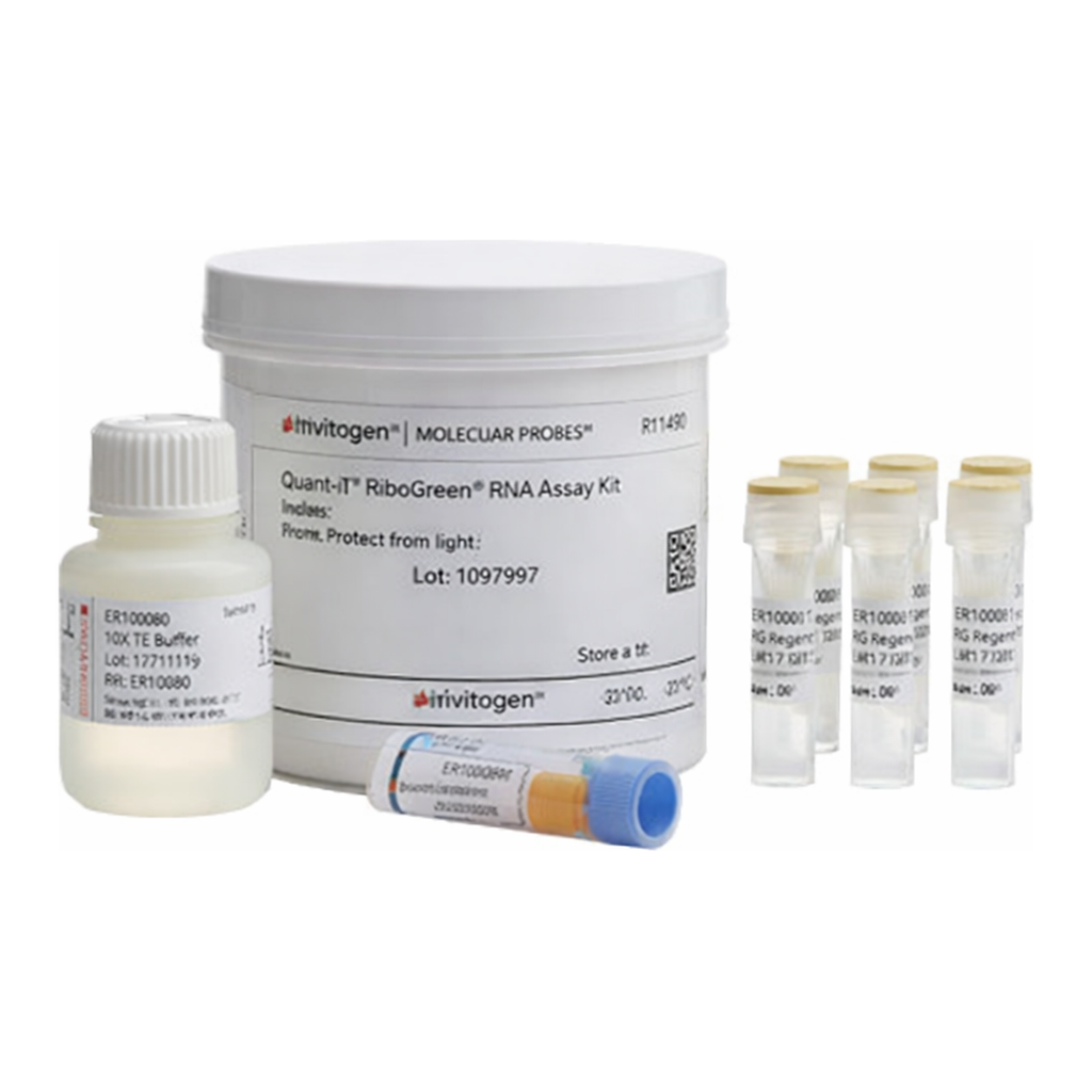 Thermo Fisher Scientific Quant-iT RiboGreen RNA Assay Kit, 1 kit