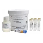 Thermo Fisher Scientific Quant-iT RiboGreen RNA Assay Kit, 1 kit