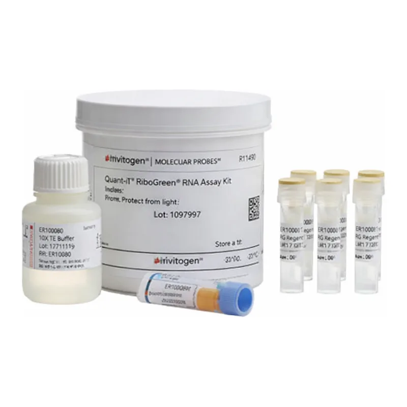 Thermo Fisher Scientific Quant-iT RiboGreen RNA Assay Kit, 1 kit