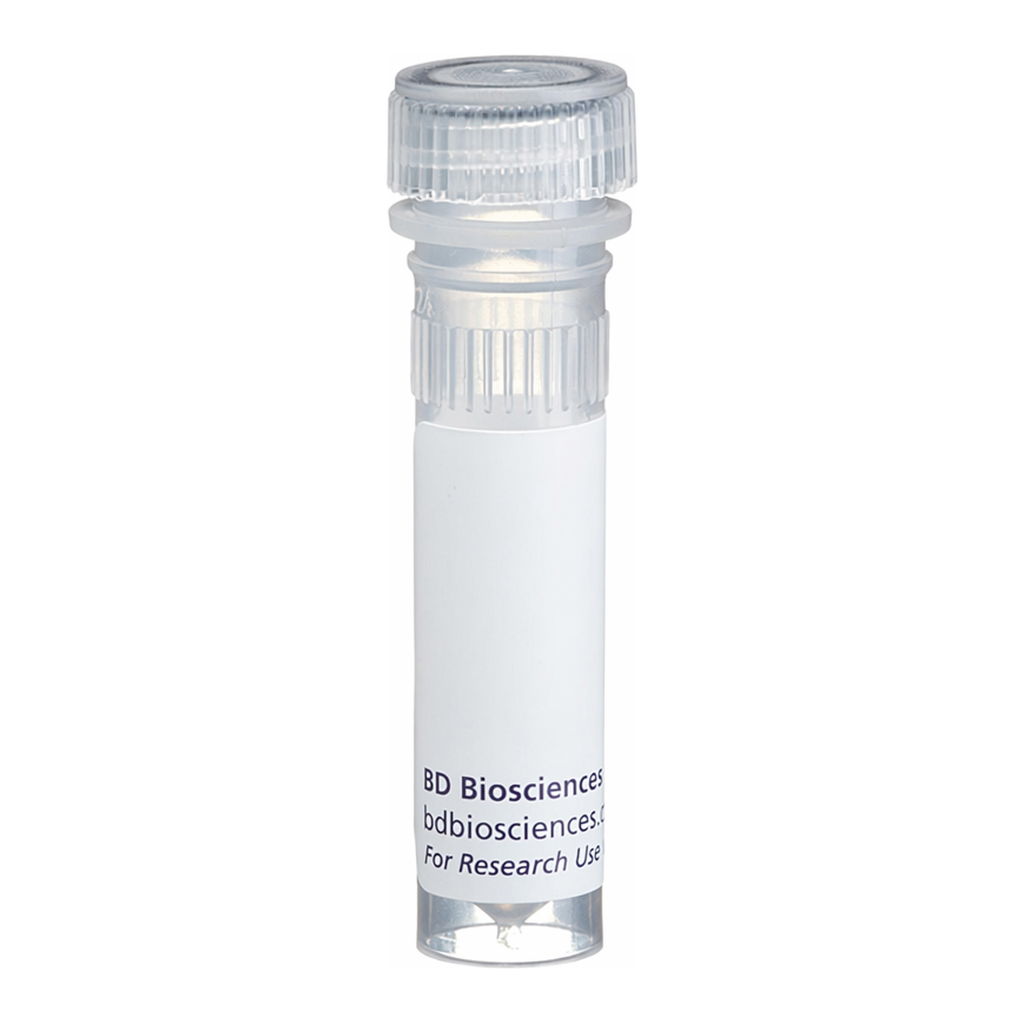 BD Biotin Rat Anti-Mouse CD5