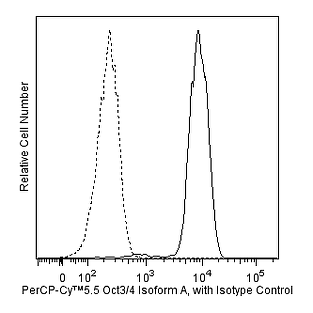 BD PerCP-Cy5.5 Mouse Anti-Oct3/4 (Human Isoform A)
