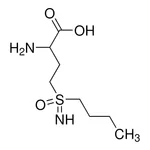 Merck DL-Buthionine-sulfoximine