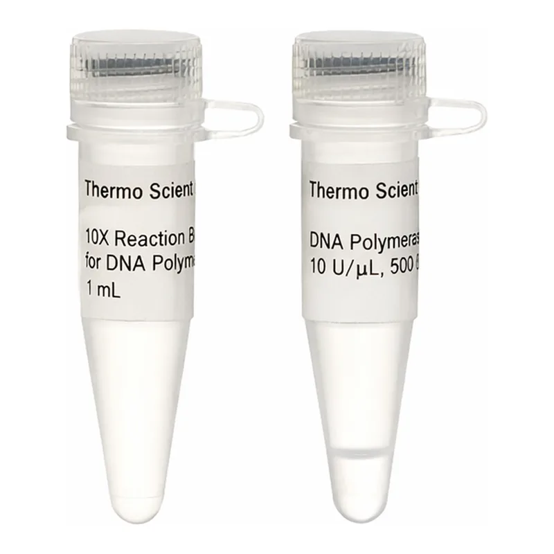 Thermo Fisher Scientific DNA Polymerase I (10 U/μL), 500 units