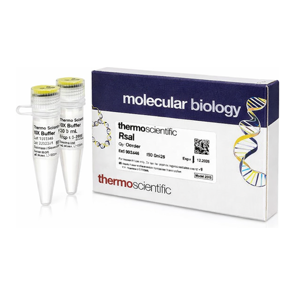 Thermo Fisher Scientific RsaI (10 U/&mu;L), 1,000 units