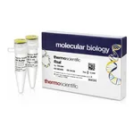 Thermo Fisher Scientific RsaI (10 U/μL), 1,000 units