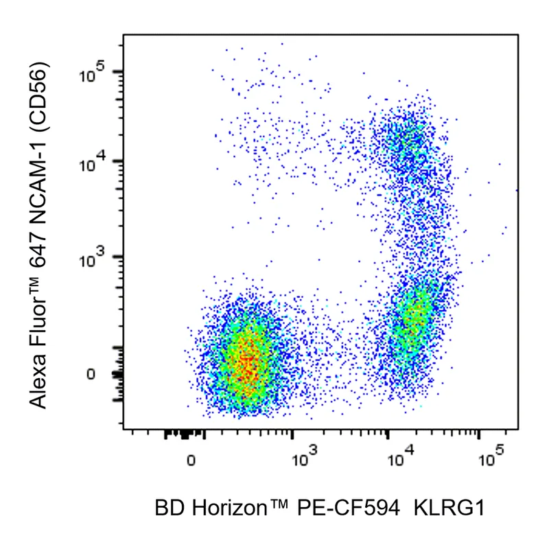 BD PE-CF594 Mouse Anti-Human KLRG1