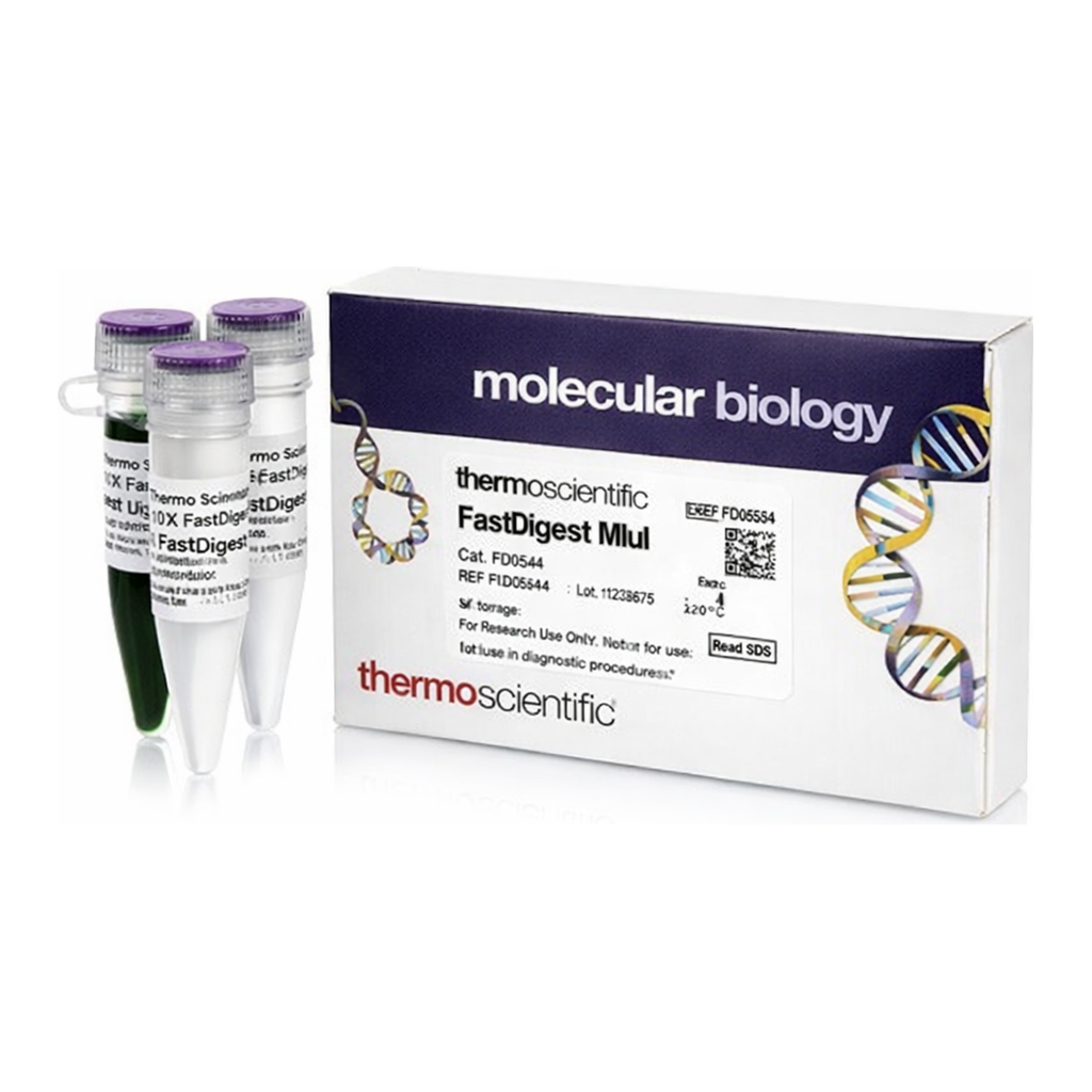 Thermo Fisher Scientific FastDigest MluI