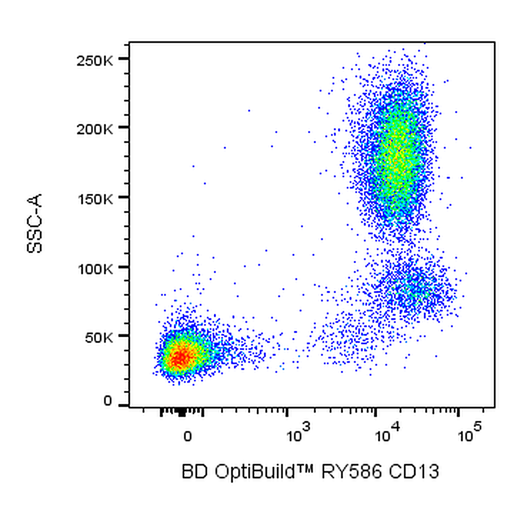 BD RY586 Mouse Anti-Human CD13