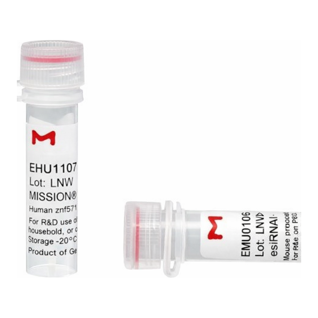 Merck MISSION(R) esiRNA