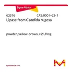 Merck Lipase from Candida rugosa