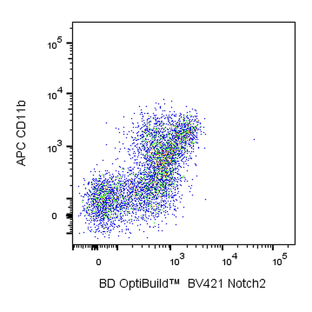 BD BV421 Rat Anti-Mouse Notch2