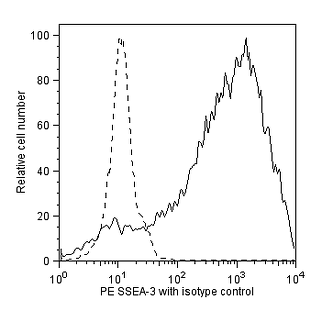 BD PE Rat anti-SSEA-3