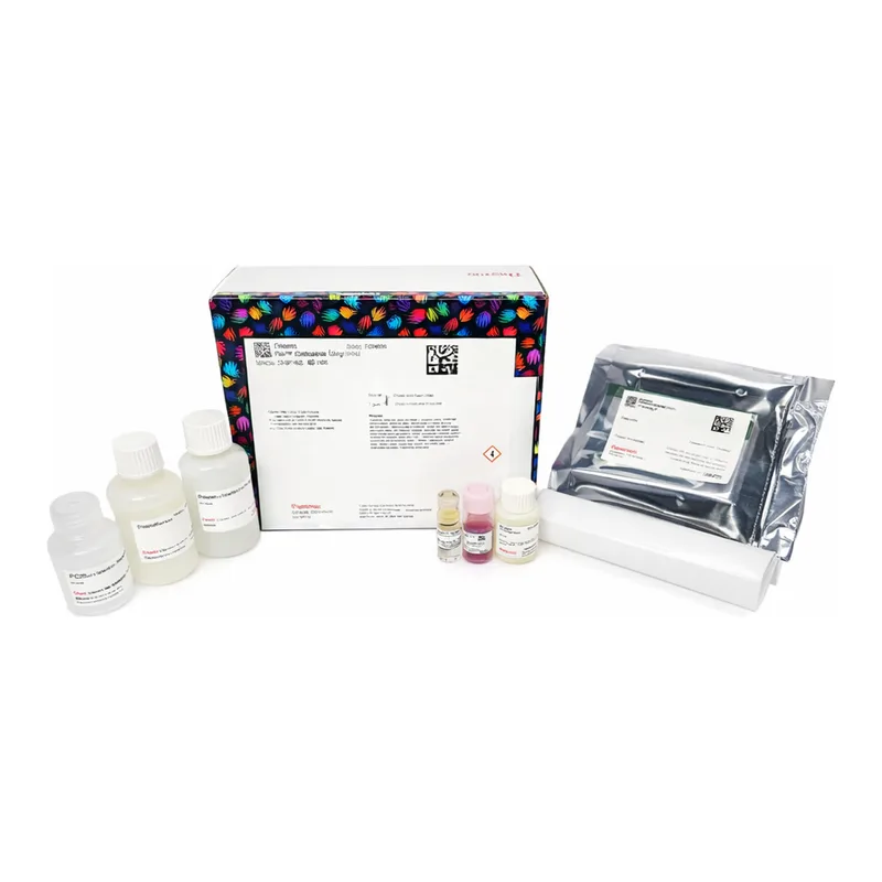 Thermo Fisher Scientific Pierce Crosslink Magnetic IP/Co-IP Kit