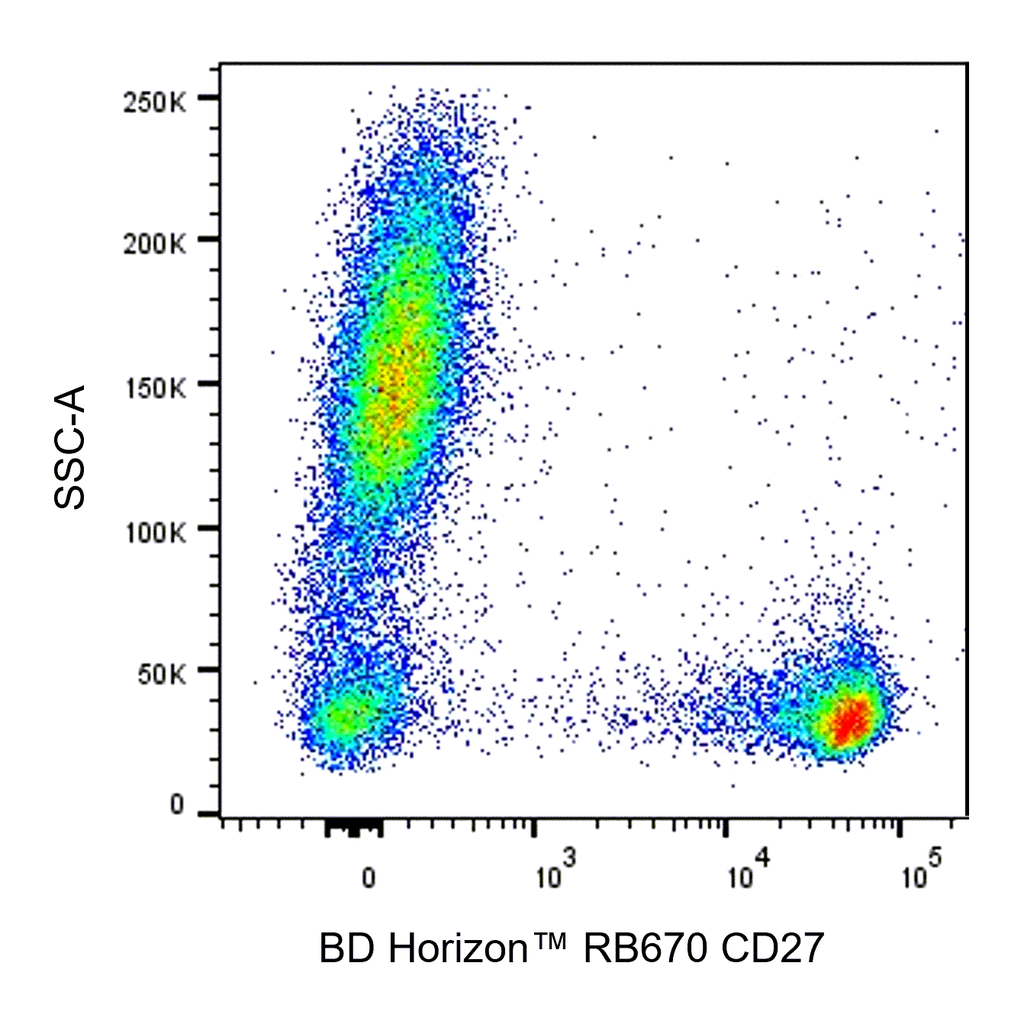 BD RB670 Mouse Anti-Human CD27