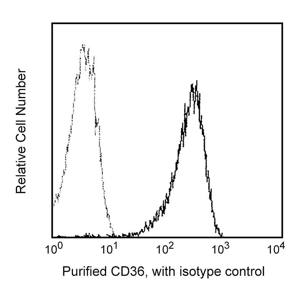 BD Purified Mouse Anti-Human CD36