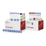 Thermo Fisher Scientific TOPO TA Cloning Kit for Subcloning, with One Shot Mach1 T1 Phage-Resistant Chemically Competent E. coli