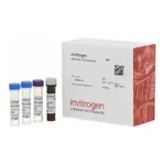 Thermo Fisher Scientific MCP-5 (CCL12) Mouse ProcartaPlex Simplex Kit