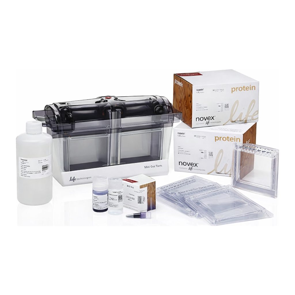Thermo Fisher Scientific Bolt Welcome Pack A (4-12%, 10-well), 1 Welcome Pk. kit