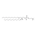 Merck 12:0 Diether PC