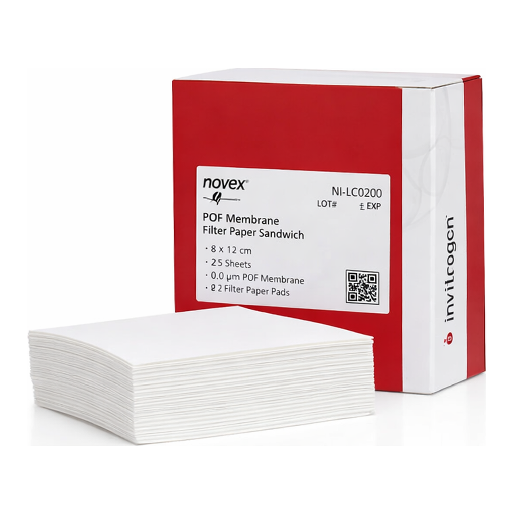 Thermo Fisher Scientific PVDF/Filter Paper Sandwich, 0.2 &mu;m, 8.3 x 7.3 cm