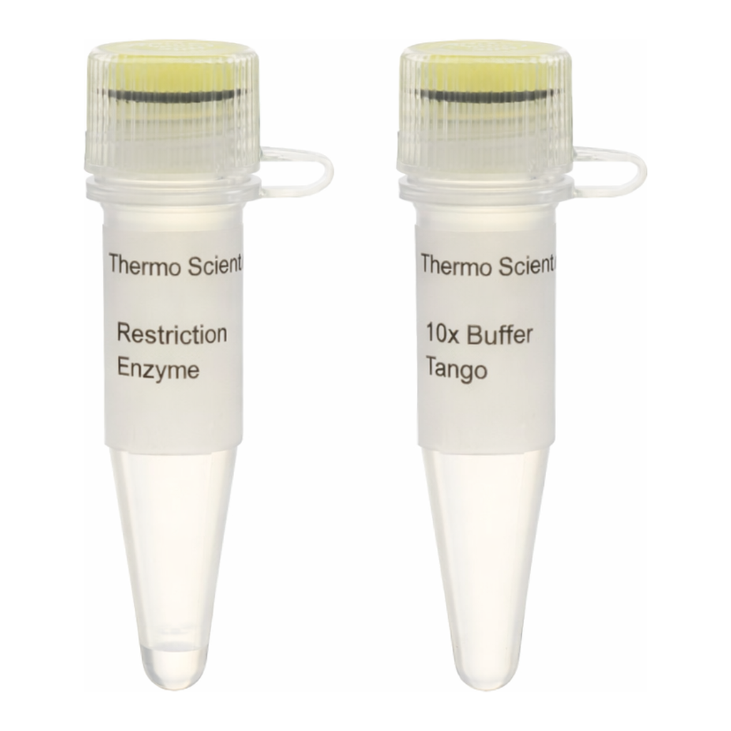 Thermo Fisher Scientific Eam1104I (EarI) (10 U/&mu;L), 300 units