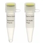 Thermo Fisher Scientific Eam1104I (EarI) (10 U/μL), 300 units