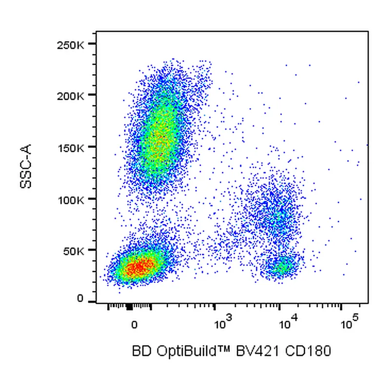 BD BV421 Mouse Anti-Human CD180
