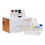 Thermo Fisher Scientific IL-2 Rat ELISA Kit