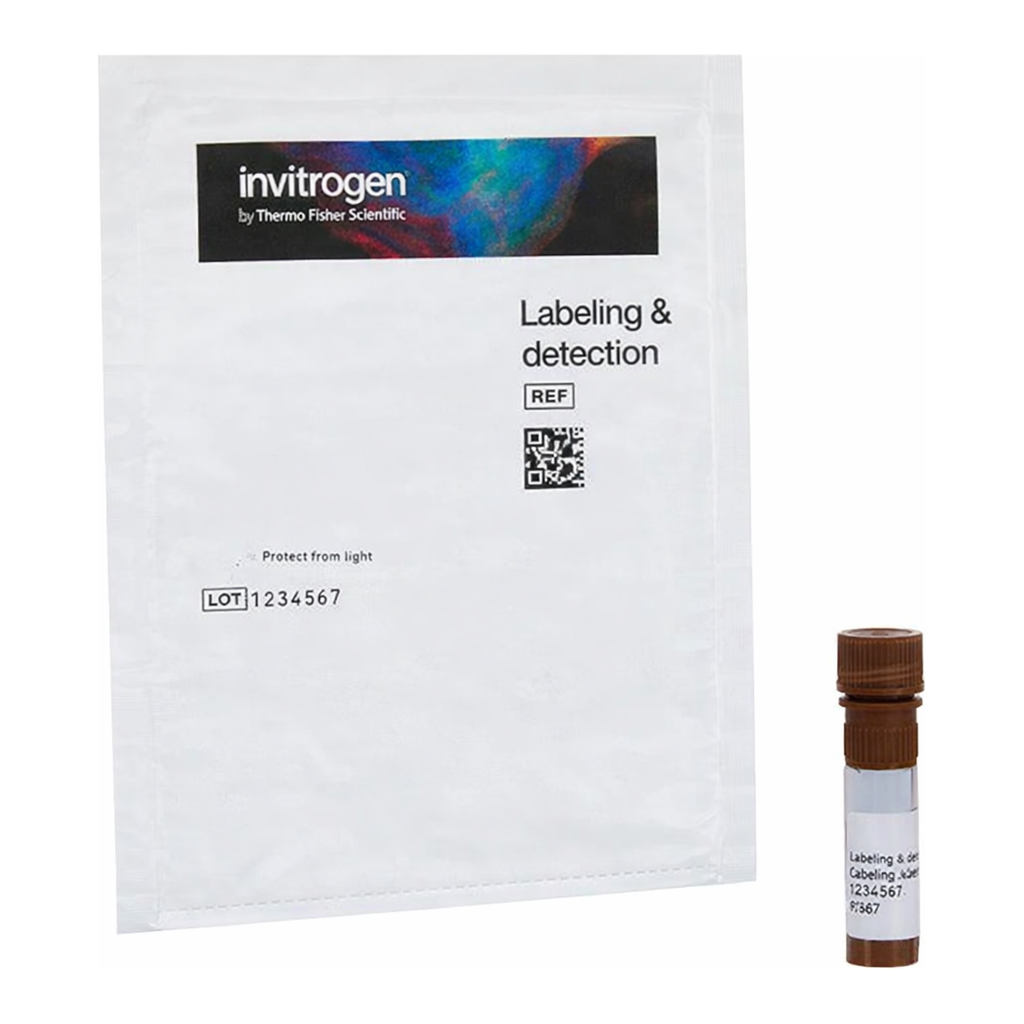 Thermo Fisher Scientific Ulex Europaeus (Gorse) Agglutinin I (UEA I), fluorescein (FITC)