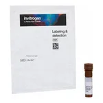 Thermo Fisher Scientific Ulex Europaeus (Gorse) Agglutinin I (UEA I), fluorescein (FITC)