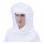 AS ONE Full Cover Face Hood, 페이스 실드 후드