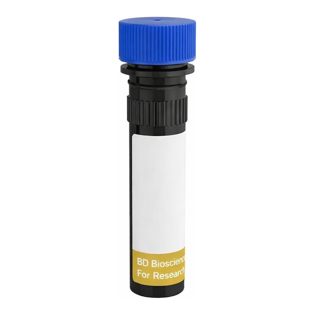 BD RY775 Rat IgG2a, κ Isotype Control