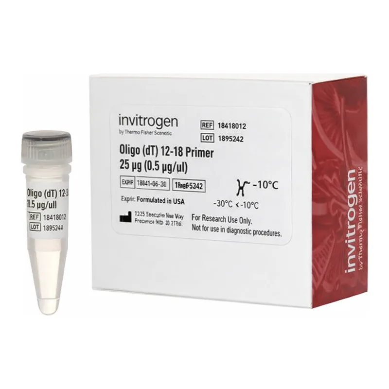Thermo Fisher Scientific Oligo(dT)12-18 Primer