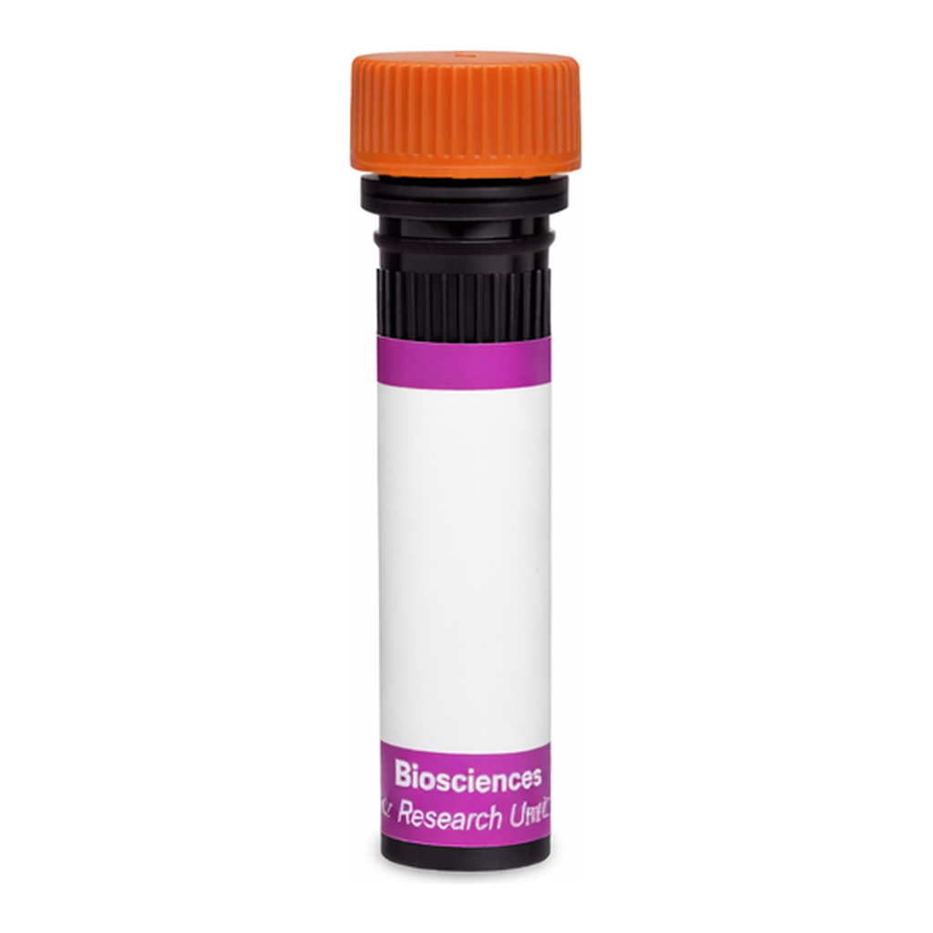 BD BV605 Mouse Anti-Human Chondroitin Sulfate (NG2)