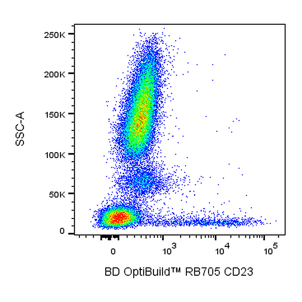 BD RB705 Mouse Anti-Human CD23