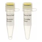 Thermo Fisher Scientific XmaJI (AvrII) (10 U/μL), 200 units
