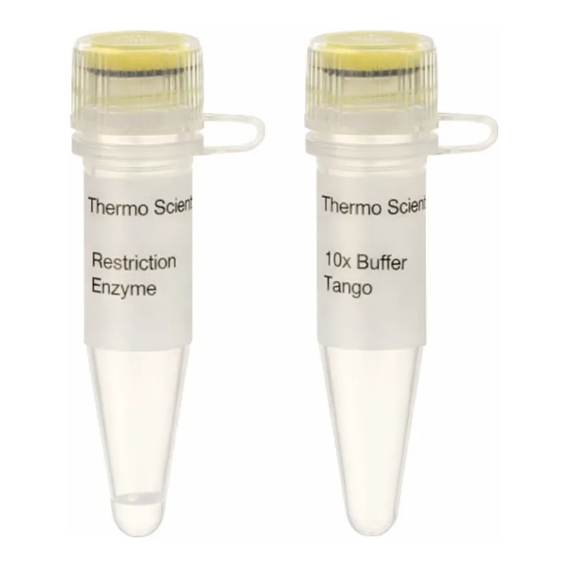 Thermo Fisher Scientific XmaJI (AvrII) (10 U/μL), 200 units