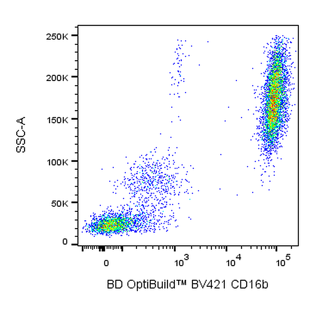 BD BV421 Mouse Anti-Human CD16b