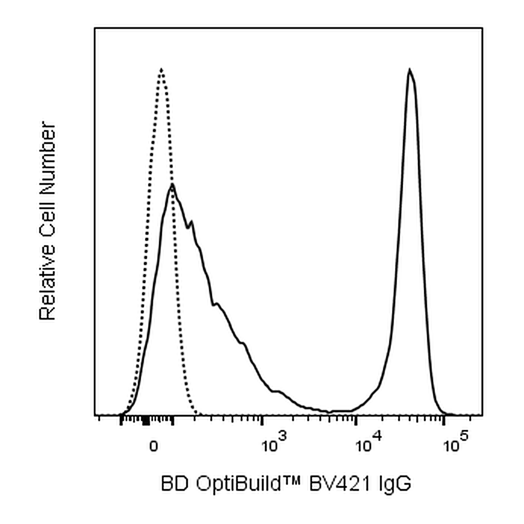 BD BV421 Mouse Anti-Armenian and Syrian Hamster IgG