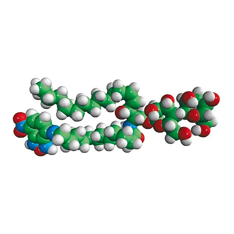 Merck C12-NBD Lactosyl Ceramide